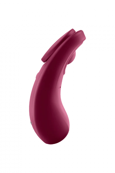 Sexy Secret - Wine Red - Free Shipping
