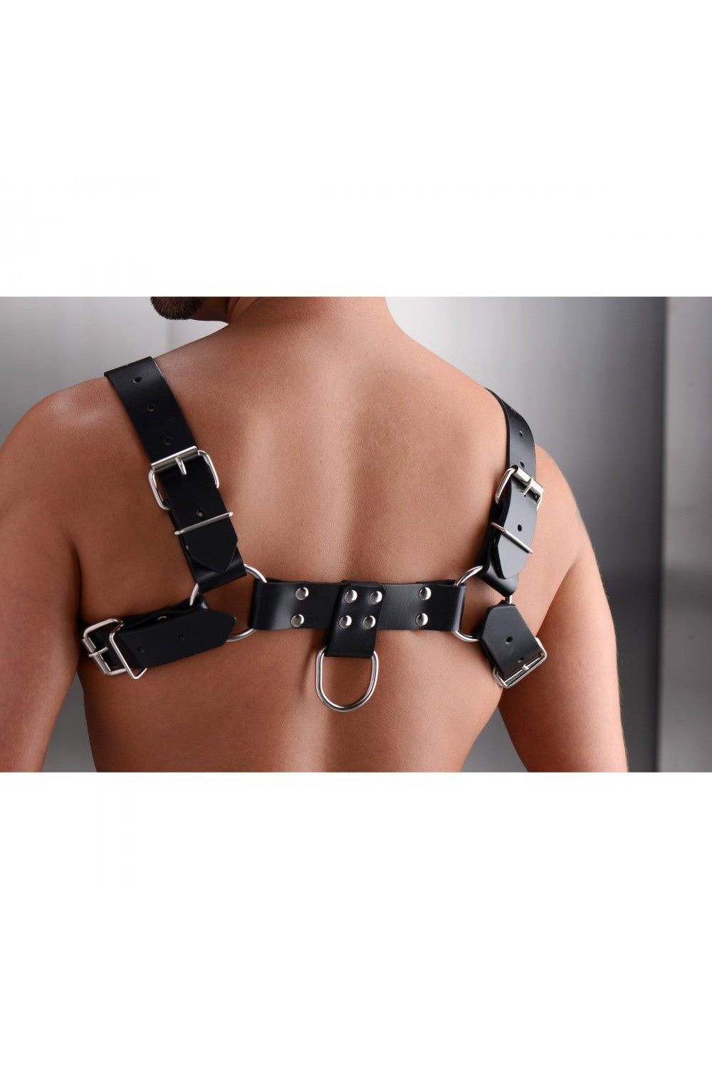 English Bull Dog Harness freeshipping - ToysZone.ca