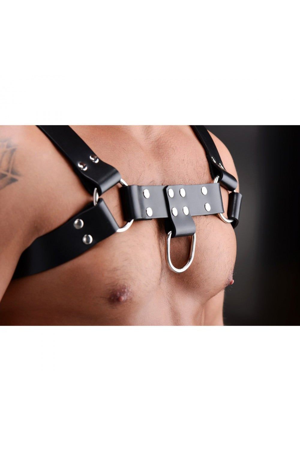 English Bull Dog Harness freeshipping - ToysZone.ca