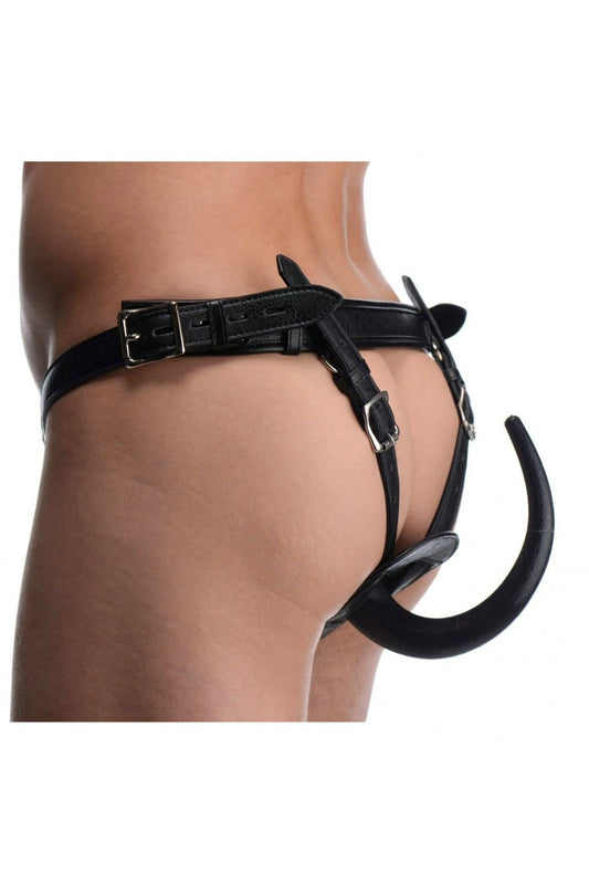 Ass Holster Anal Plug Harness Free Shipping
