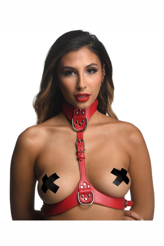 Red Female Chest Harness- Medium / Large Free Shipping