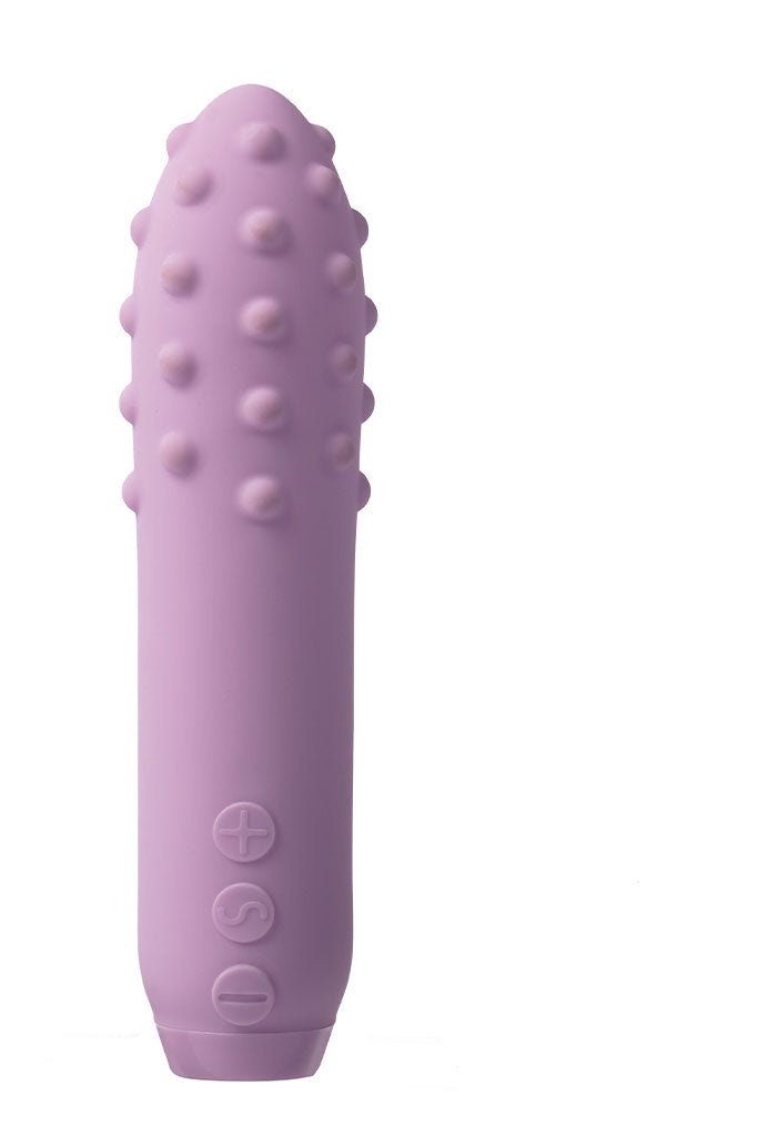 Duet Bullet Lilac free Shipping